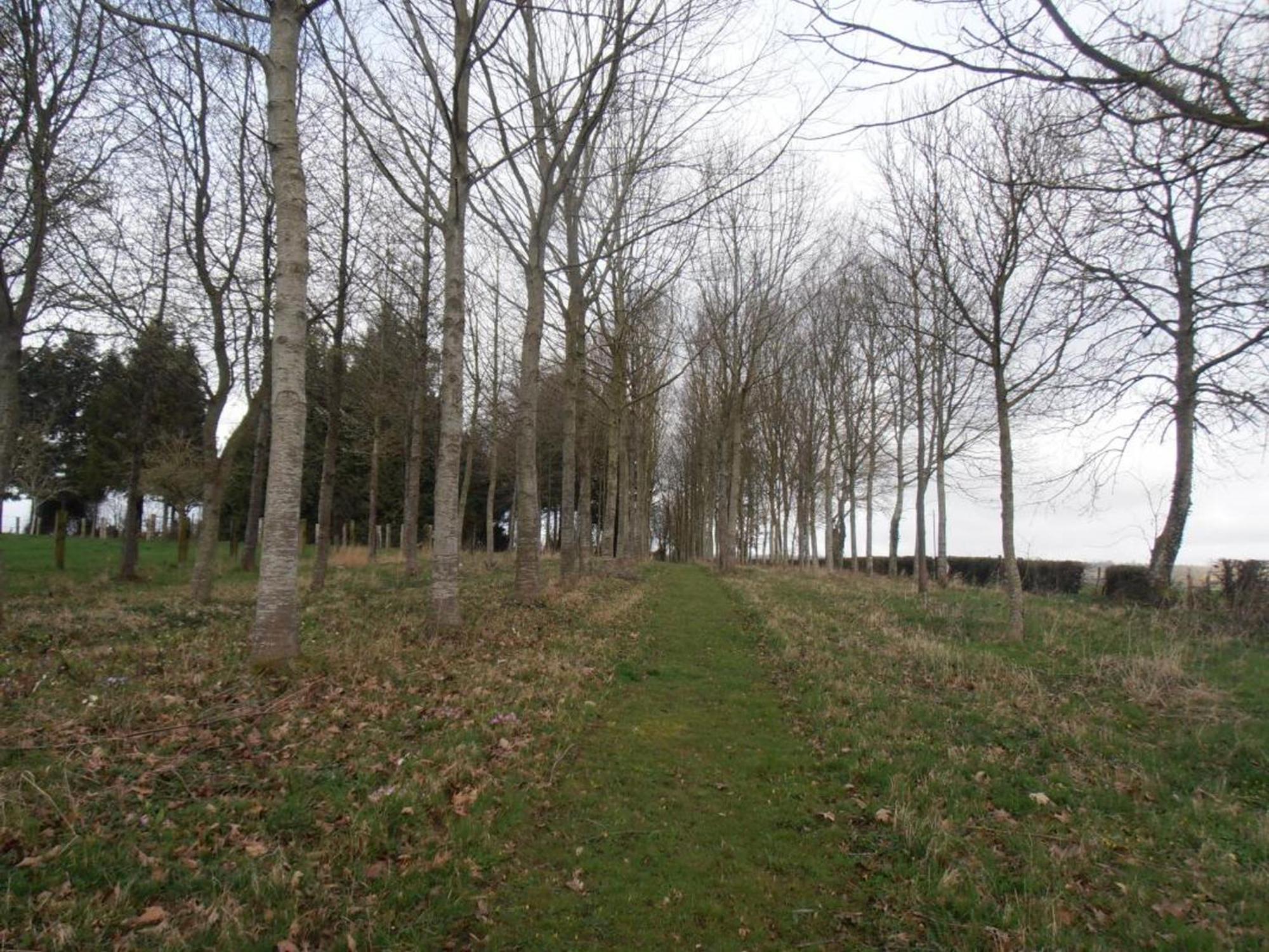 Gîte Saint-Pierre-la-Rivière, 4 pièces, 5 personnes - FR-1-497-5 Extérieur photo