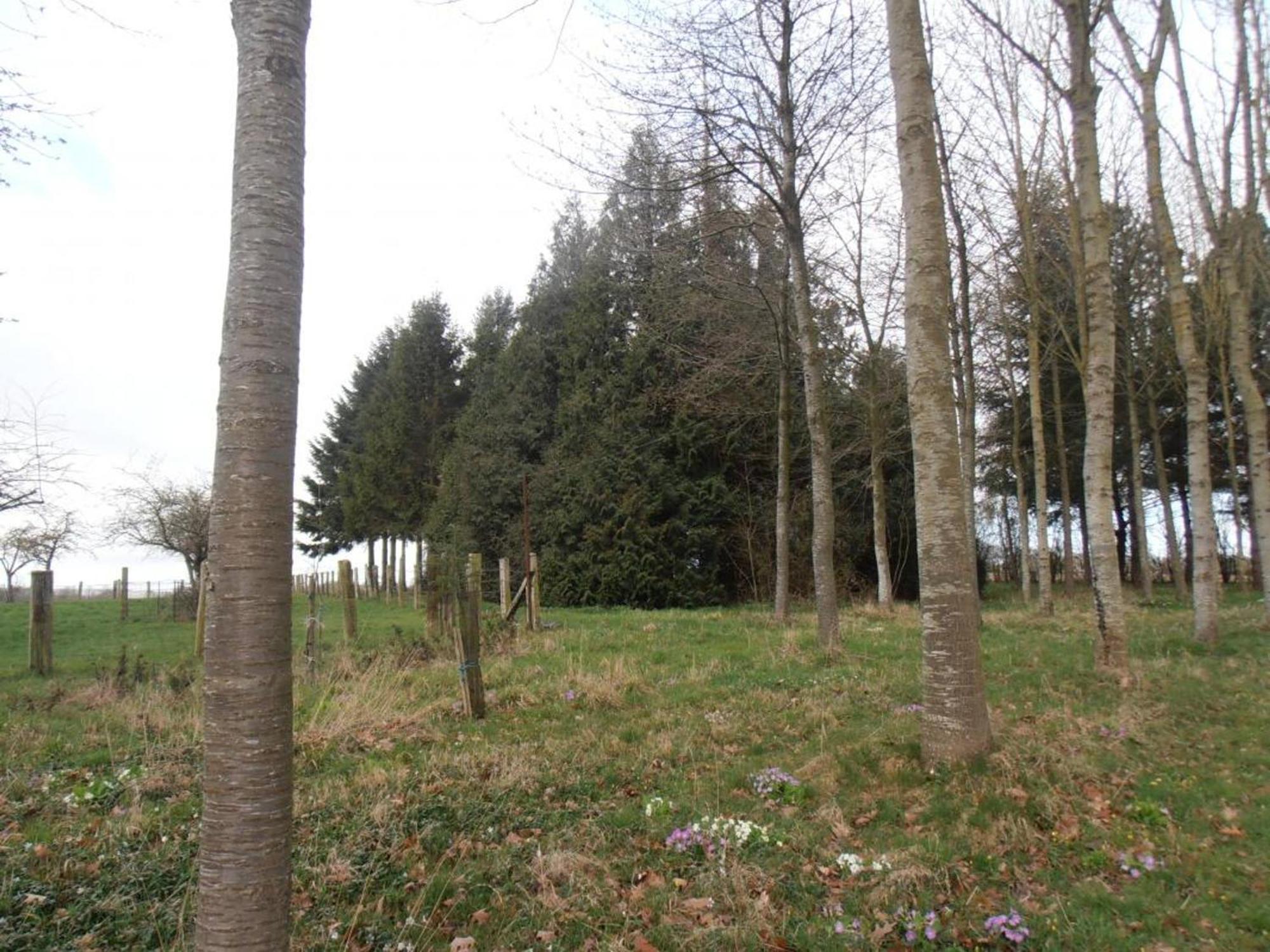 Gîte Saint-Pierre-la-Rivière, 4 pièces, 5 personnes - FR-1-497-5 Extérieur photo